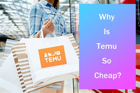 is temu a good brand